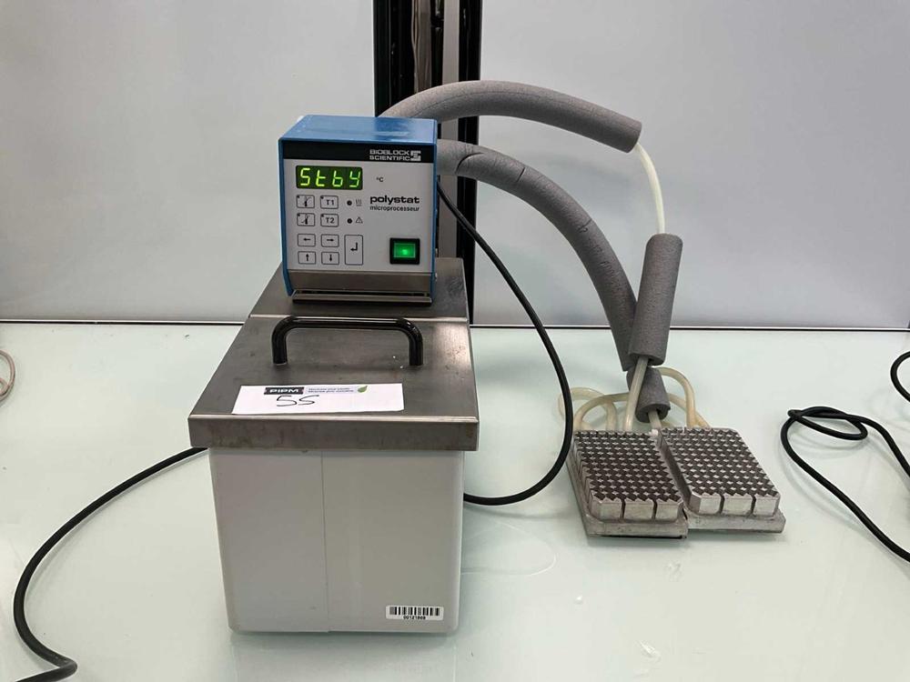Diapositiva 1